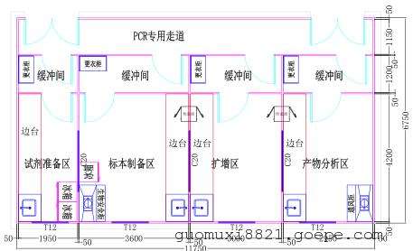 PCR平面图